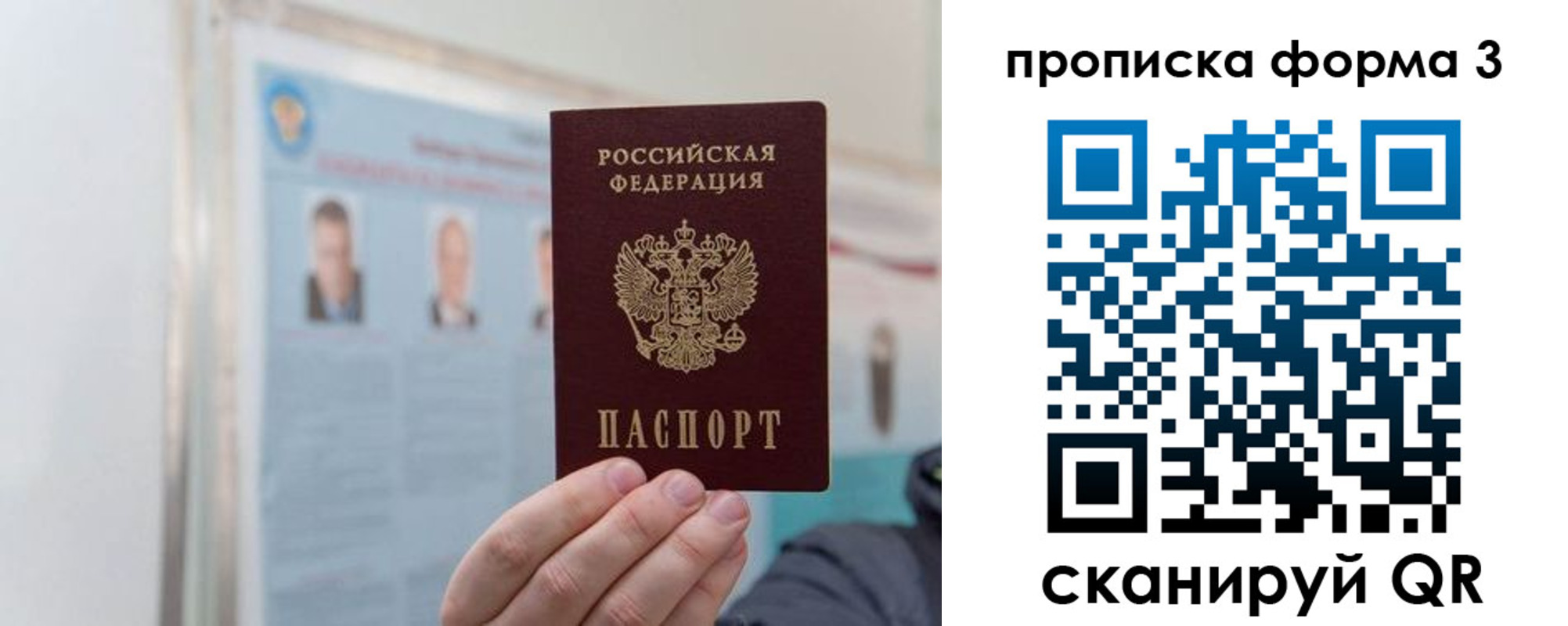 прописка законно в Волосово